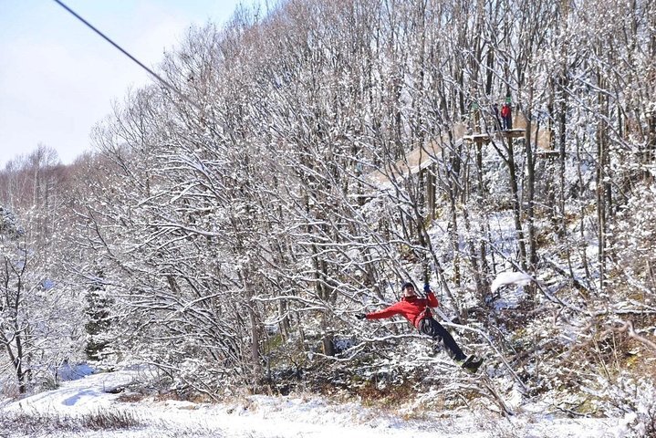 2024 Winter Zipline And Snowshoe Adventure Sapporo   Caption 