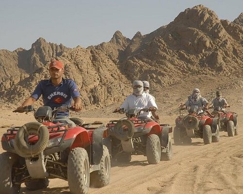 falcon travel reviews