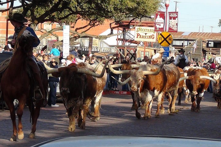 THE 5 BEST Fort Worth Antique Stores (Updated 2024) - Tripadvisor