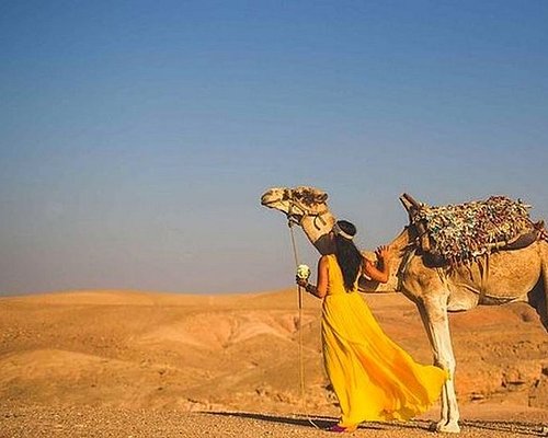 day trips from marrakech by train