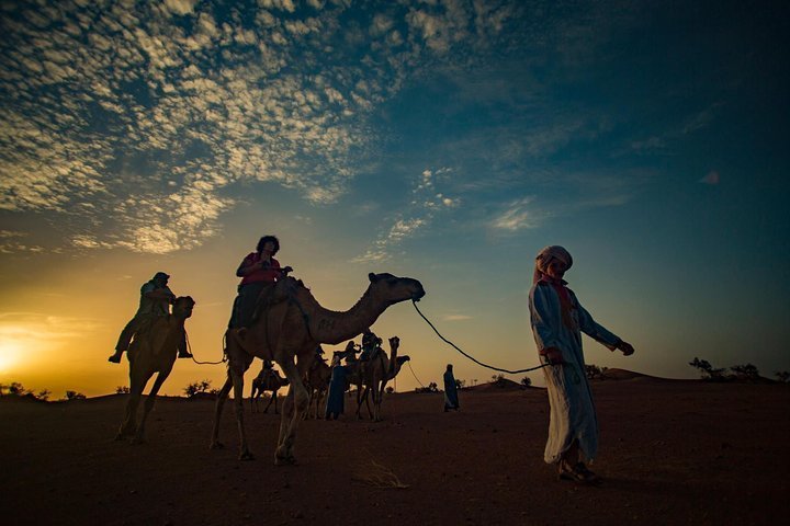 Tripadvisor Excursion De 2 Jours A Zagora Au Depart De Marrakech Incluant Le Massif De L Atlas Un Trek A Dos De Chameau Et Un Camp Dans Le Desert Propose Par Ando