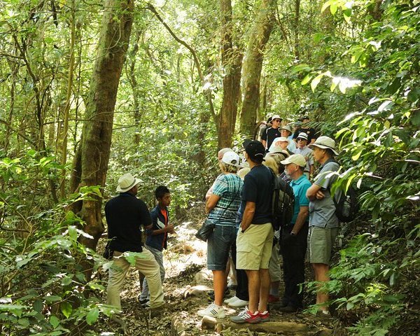 Parque Ecológico Bosque De Cinquera (El Salvador): Address, Phone ...