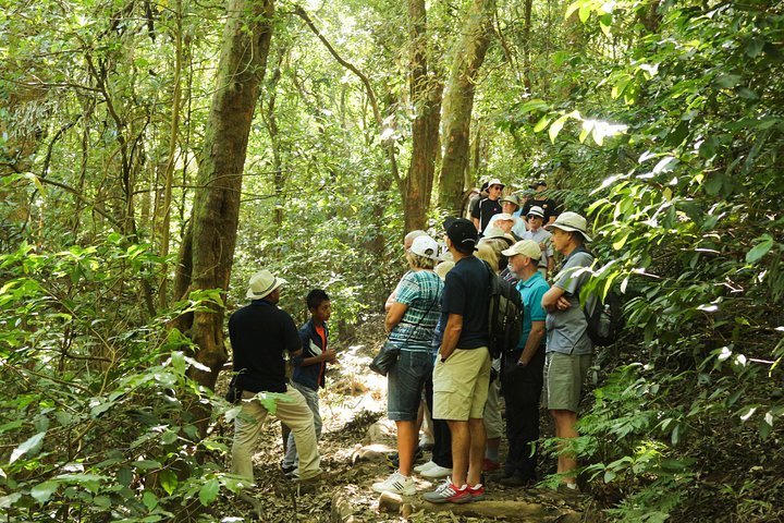 THE 10 BEST El Salvador Tours & Excursions (2025) - with Reviews