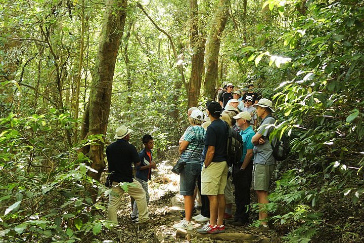 THE 10 BEST El Salvador Tours & Excursions (2025) - with Reviews