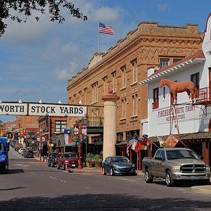 5 Unexpectedly Cool Things to Do in Grapevine, Texas