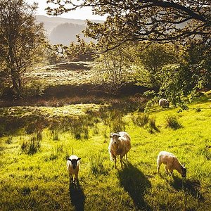 derbyshire tourist information centres