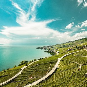 The 10 Best Things To Do In Vevey 2021 With Photos Tripadvisor Must See Attractions In Vevey Switzerland