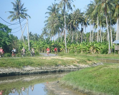 penang round island tour