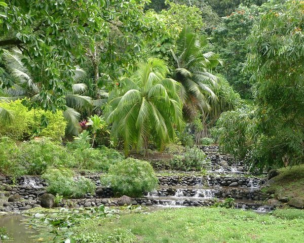 Maraa Grotto Tahiti All You Need To Know Before You Go