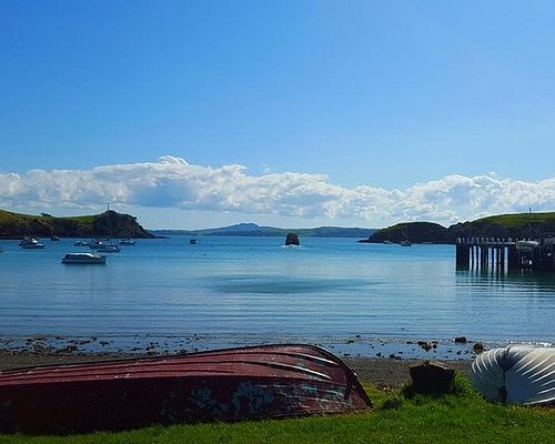 waiheke island day trip