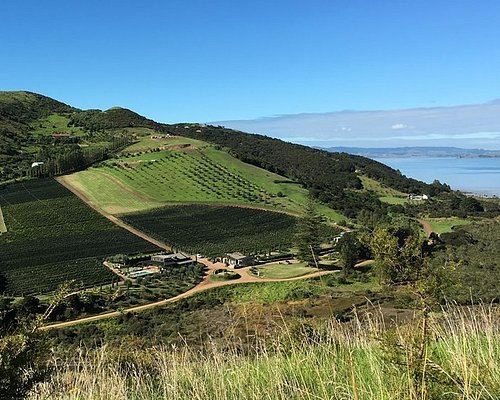 vineyard tours waiheke