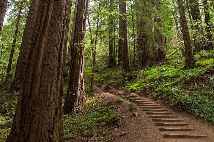 THE 10 BEST Parks & Nature Attractions in San Francisco (2024)