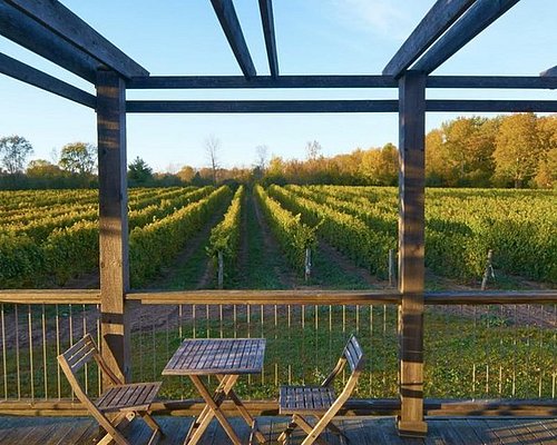 wine tours in toronto canada