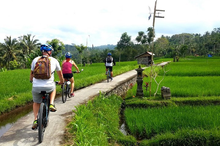 kabul etmek bkz sürtünme bali eco bike tour koyun eti hayat övgü