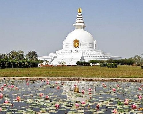 rajgir tour package from patna