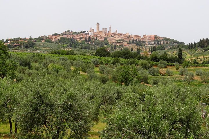Tenuta Torciano (Ulignano) - All You Need to Know BEFORE You Go