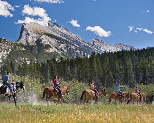 THE 10 BEST Banff Tours & Excursions for 2022 (with Prices)