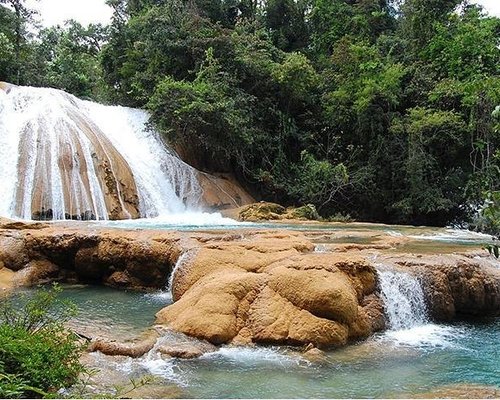 THE 10 BEST San Cristobal de las Casas Nature & Wildlife Tours