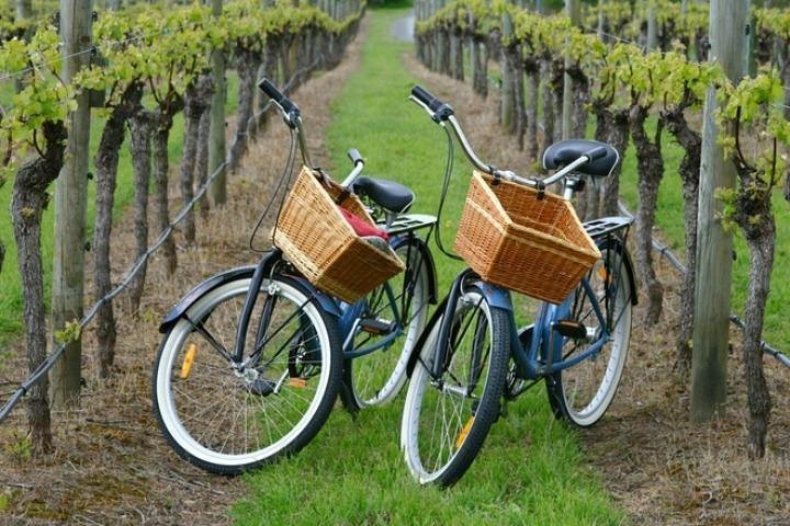 Long island deals wine tours