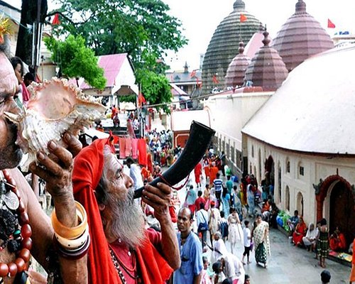 assam tour package from ahmedabad