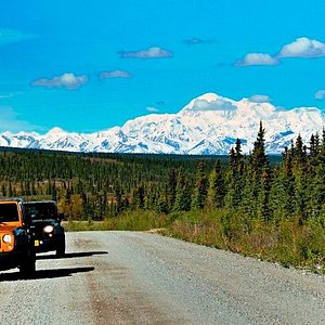 Denali National Park: Trip It or Skip It? - Scenic and Savvy