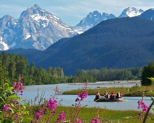 best shore excursions in haines alaska