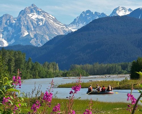 carnival excursions haines alaska