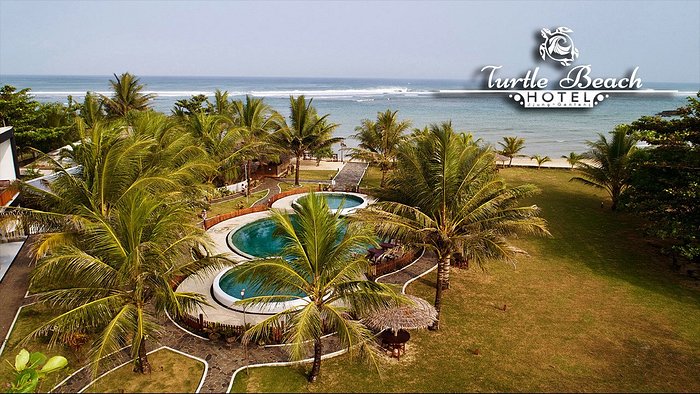 TURTLE BEACH HOTEL - Prices & Reviews (Ujung Genteng, Indonesia)