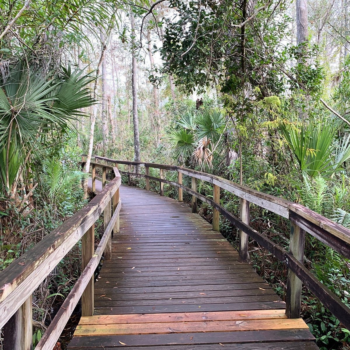Big Cypress Bend Boardwalk (Naples) - All You Need to Know BEFORE You Go