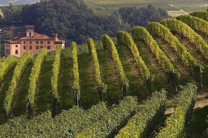 A Barolo Wine Tour: A Fantastic 4 Day Itinerary