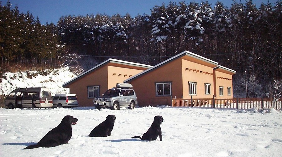 古い画像ですが、何方も投稿されていないので私の思い出の画像ですがあしからず。2003年1月4日の撮影です。当時は通年営業だったのですが、現時点では12月～3月は冬季休業。