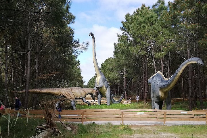 Tripadvisor | ¡PERFECTO PARA NIÑOS! Visita privada al Parque Jurásico  ofrecido por Tours de Portugal | Lisboa, Portugal