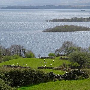 Fly fishing for wild Brown trout on Lough Corrib. Galway. Private Ghillie.  2024