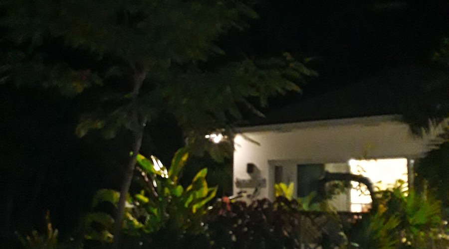 Cattleya Cottage