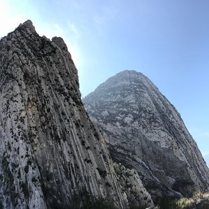 Parque Zoologico La Pastora (Monterrey) - All You Need to Know BEFORE You Go