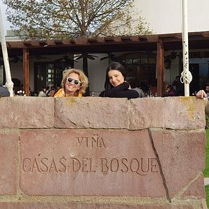 Viña Casas del Bosque (Casablanca) - Lo que se debe saber antes de viajar -  Tripadvisor