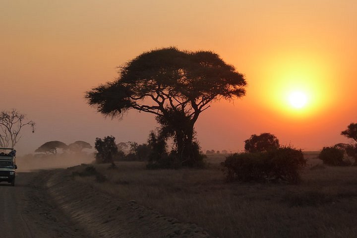 Tripadvisor Safari De 4 Jours Lac Manyara Serengeti Et Ngorongoro