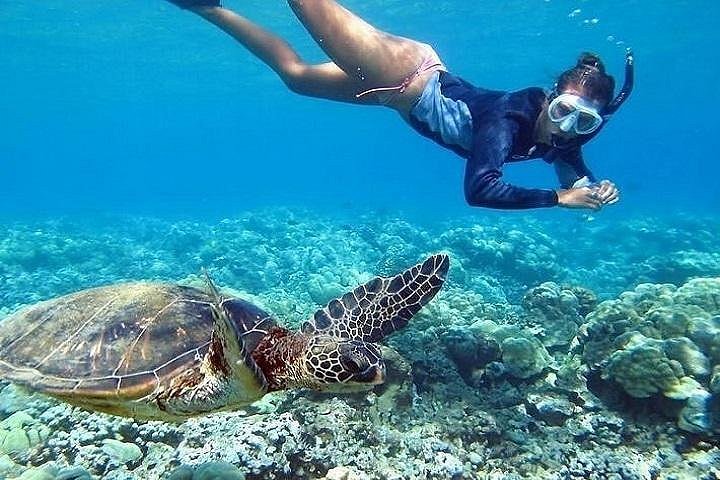 Hidden Gems of Oahu and North Shore Turtle Beach, Oahu Shore Excursion