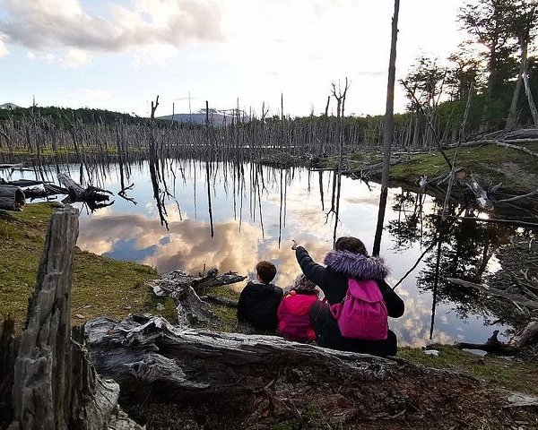 Tripadvisor Nationaal Park Tierra Del Fuego Aangeboden Door Tiempo Libre Ushuaia Argentinië 4034