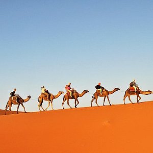 douz voyage tunisie