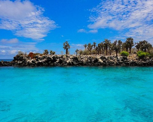 10 Mejores Visitas Turísticas En Islas Galápagos 7893