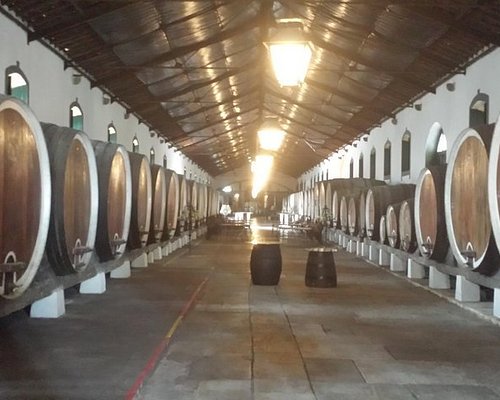 wine tours cascais portugal