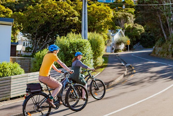 Velo wellington store