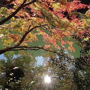 21年 埼玉県で絶対外さないおすすめ観光スポットトップ10 定番から穴場まで トリップアドバイザー 21年 埼玉県で絶対外さないおすすめ観光スポットトップ10 定番から穴場まで トリップアドバイザー