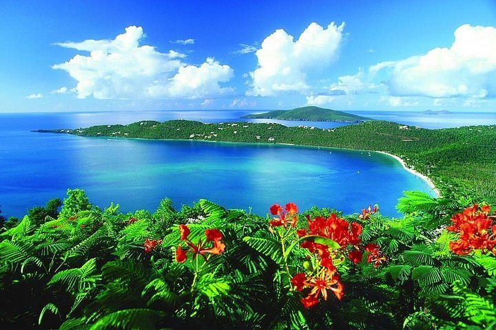 2024 Paradise Taxi And Tours Usvi St Thomas Virgin Islands Island Scenic Tour 4981