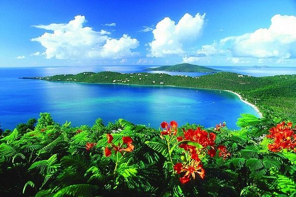 ProCare Plus  Charlotte Amalie US Virgin Islands