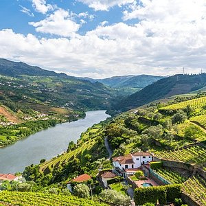Go All Valley Douro Photos) The Need (with to You You - BEFORE Know