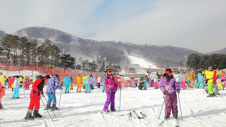 2024 Full-day snow Tour to Jisan Forest Resort from Seoul