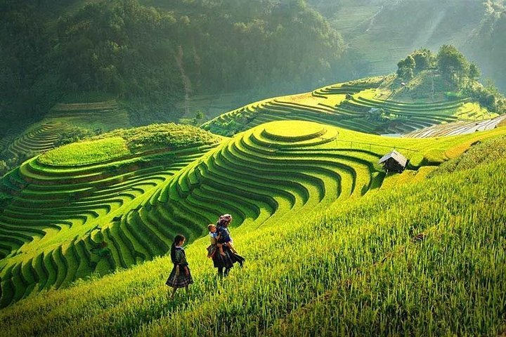 2024 Sapa Trekking Tour 2 Days 1 Night By Bus