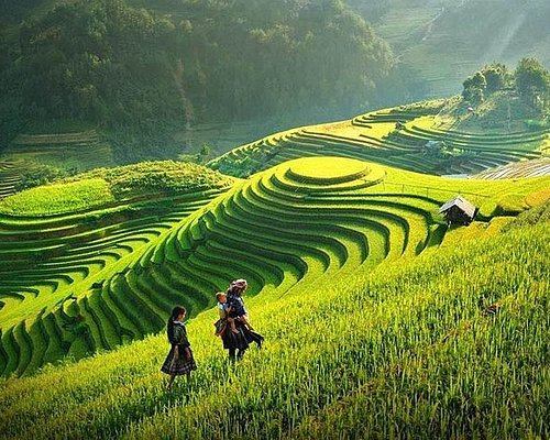Top 10 Must-See Places in Vietnam - Sapa rice terraces and trekking tours